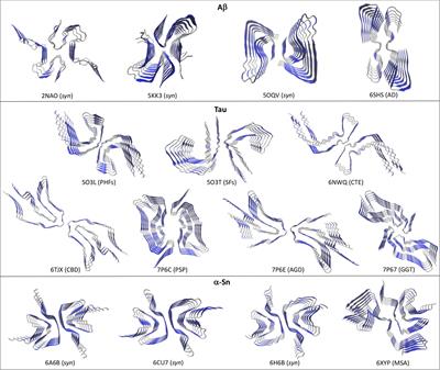 Recent High-Resolution Structures of Amyloids Involved in Neurodegenerative Diseases